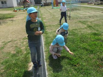 園庭に落ちている葉っぱを拾って集める子供