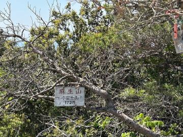 頂上にある木に麻生山という表示がかかっています。