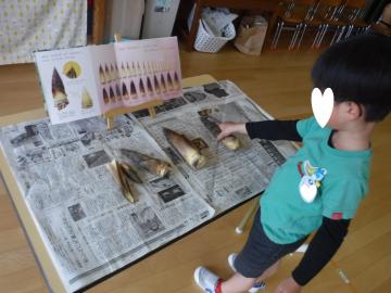 室内でタケノコを見る園児の様子