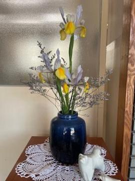 小学校の玄関に飾られたダッチアイリスの画像