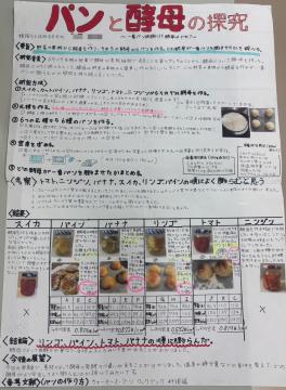 パンと酵母の研究のポスターの写真