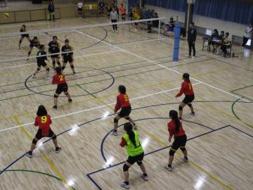 女子バレーボールの試合の様子