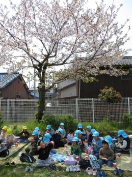 4歳児と5歳児がお花見をする様子