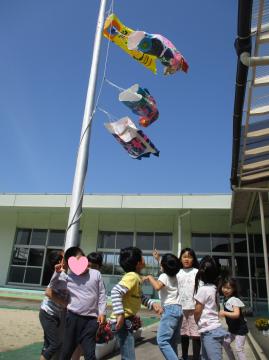 園庭で5歳児が自分たちのこいのぼりをあげる様子