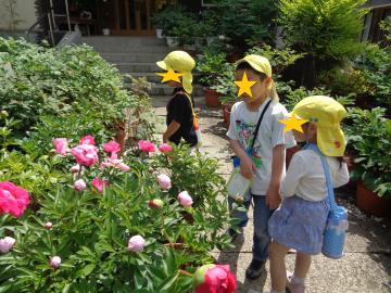 シャクヤクを見る園児