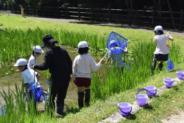 児童が池に入り、水生生物を採取している様子
