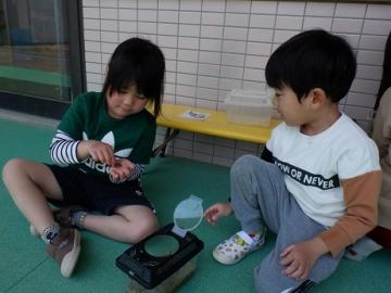 虫の観察をしている写真