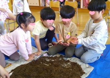 室内で4歳児が4人でカブトムシの幼虫を見たり触ったりしている様子