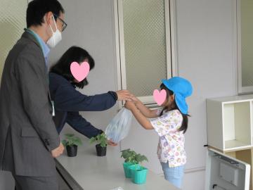 苗を購入している写真