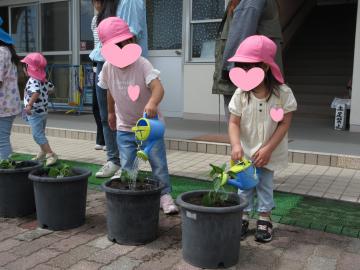 水やりをしている写真