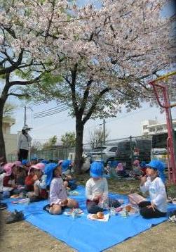 園庭で子供たちがお花見をしているところ