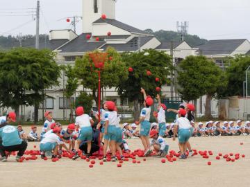低学年紅組が玉入れをしている