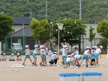 低学年白組が玉入れをしている