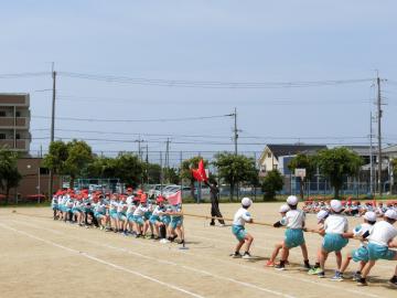 高学年が綱引きをしている