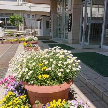 校舎正面玄関付近の花です