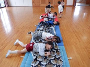 こいのぼりの上で転がっている写真