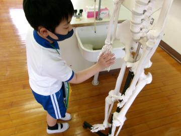 人体模型の手をさわる子ども