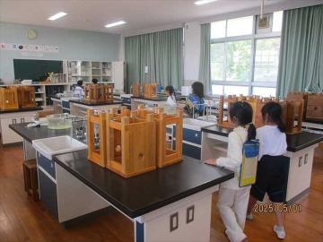 理科室の中を見学しています