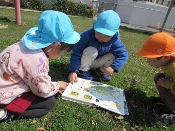 タンポポの図鑑を見ている写真
