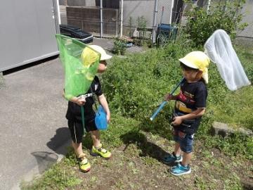 友達と一緒に虫網と虫かごをもって虫を探す様子