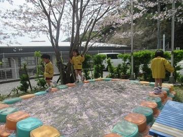 桜の下で追いかけっこ