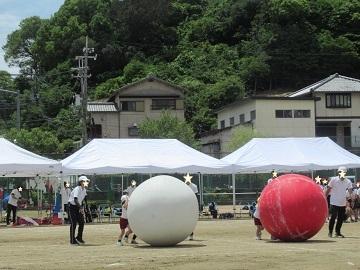 みんなで大玉転がしをしました