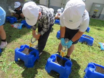 土に水をかける1年生