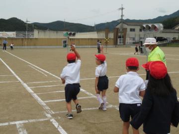 信号の色を見て道路をわたる1年生