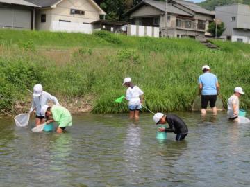 水生生物をさがす3年生その2