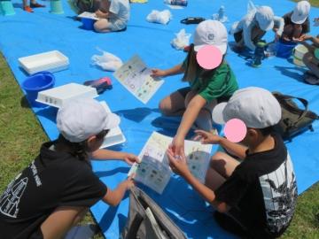 水生生物による水質判定をする3年生