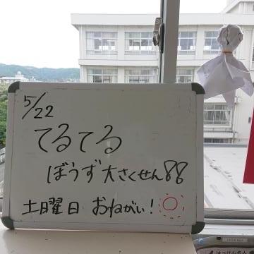 てるてる坊主の掲示です
