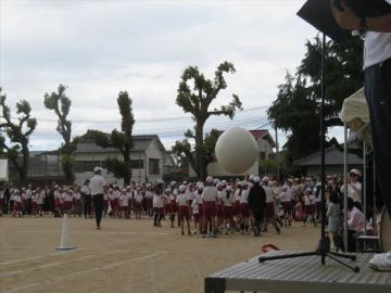 大玉送り　白組です