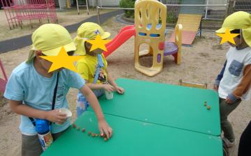 収穫したいちごを数える子ども
