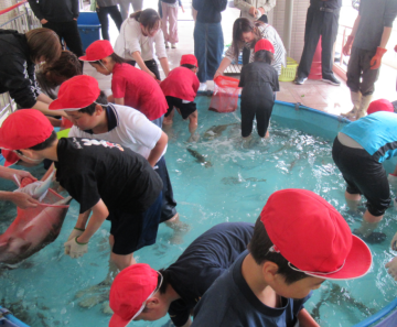 プールの中で魚をつかまえる子どもたち