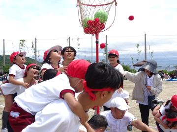 中学生が園児を背負い競技した玉入れの様子です