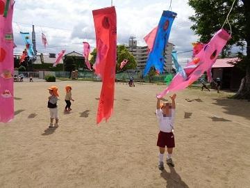 鯉のぼりに触ろうとしている写真