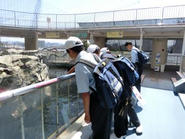 水族館を見学している様子