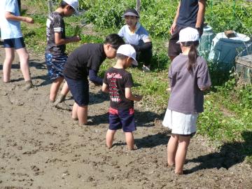 上級生がやさしく教えている様子