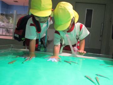 水族館で魚と触れ合う様子