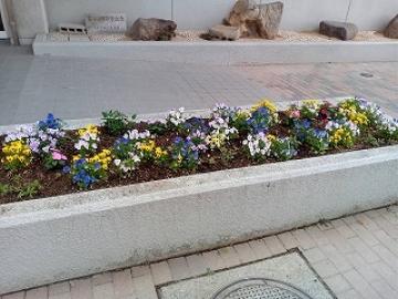 体育館前の花壇の様子