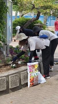花の植え替えをする様子
