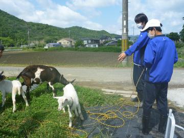 チームしんすけ農場での活動の様子