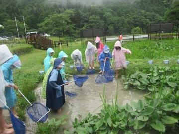 じゃぶじゃぶ池で生き物を探す様子
