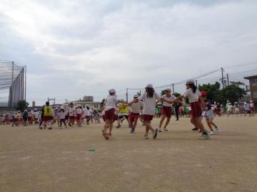 輪になって回転しています。