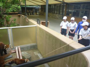 セントラルパークでの飼育活動の様子