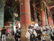 奈良の寺院で歴史探索する児童の全体写真