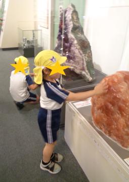 紫水晶と岩塩を観察する子ども
