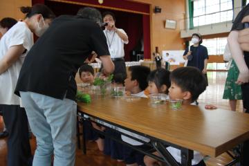 本物の幼虫を観察している様子