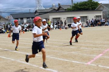 3年生の徒競走の様子