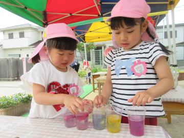 4歳児が色水している様子